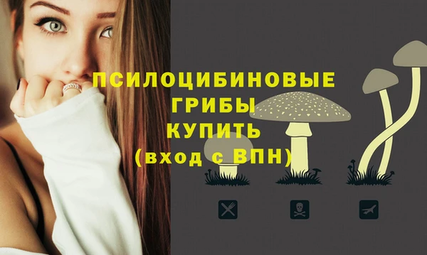 ALPHA-PVP Приозерск