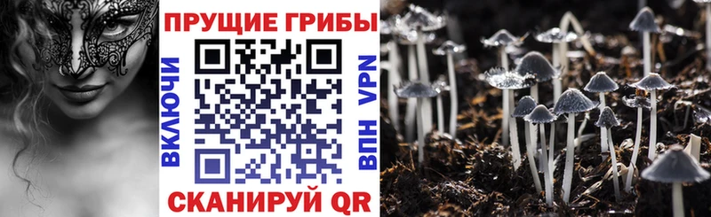 Галлюциногенные грибы MAGIC MUSHROOMS  Саратов 