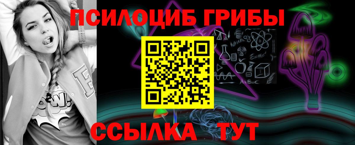 сколько стоит  Вход с VPN  Саратов  Псилоцибиновые грибы MAGIC MUSHROOMS 
