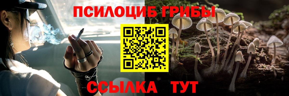 Псилоцибиновые грибы Cubensis  Саратов  Галлюциногенные грибы мухоморы 