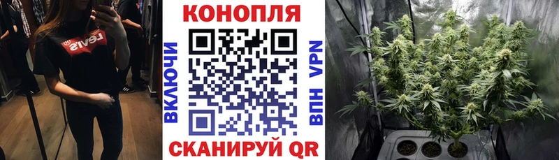 Шишки марихуана White Widow Саратов